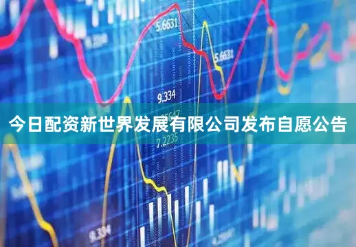 今日配资新世界发展有限公司发布自愿公告