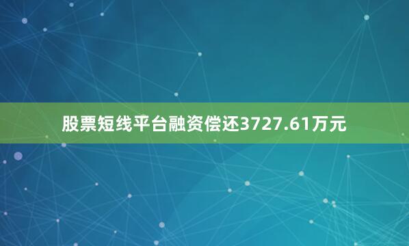 股票短线平台融资偿还3727.61万元