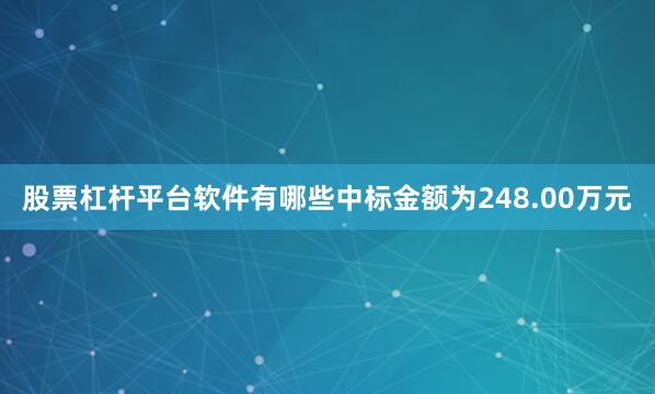 股票杠杆平台软件有哪些中标金额为248.00万元