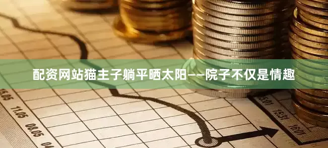 配资网站猫主子躺平晒太阳——院子不仅是情趣