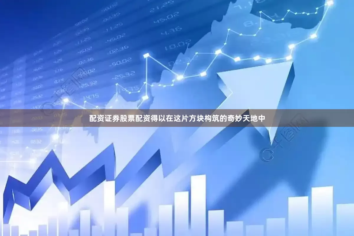 配资证券股票配资得以在这片方块构筑的奇妙天地中